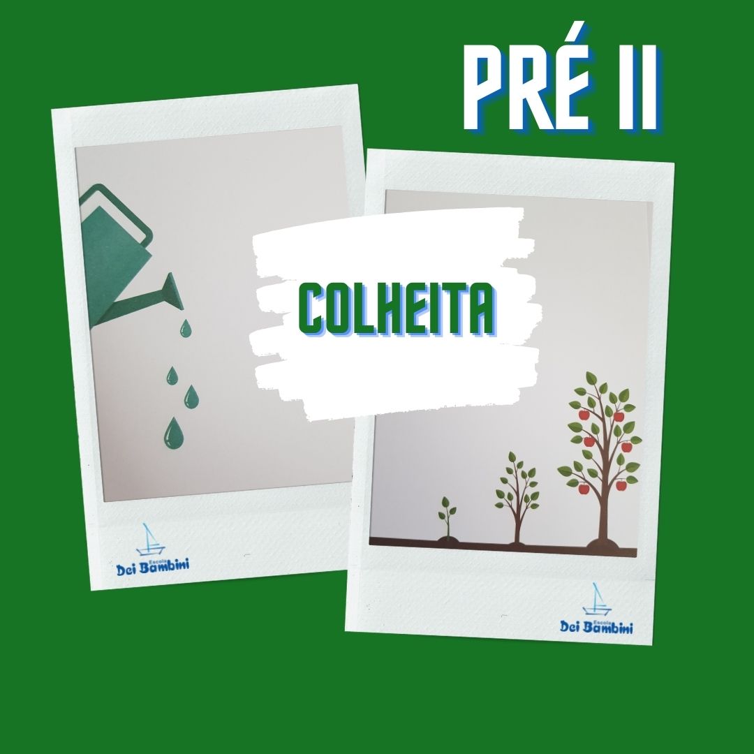 Colheita - Pré II